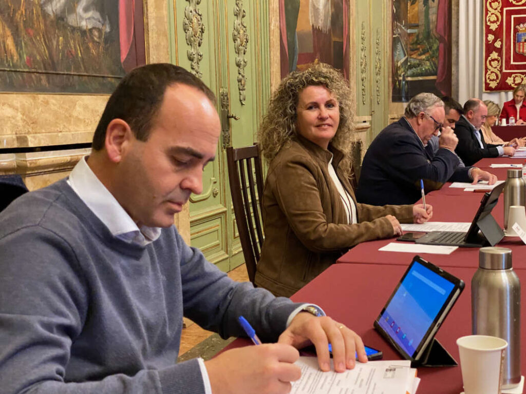 Pleno Diputación 131222