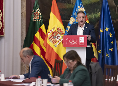 Pleno Diputación 131222