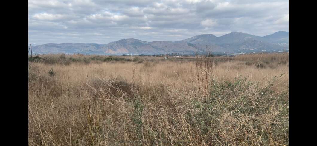 benicassim antimosquitos