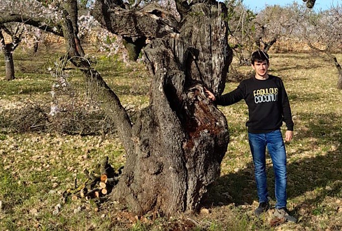 atzeneta compromis jaume gil