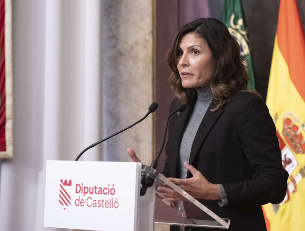 maria jose pallares pp castellon