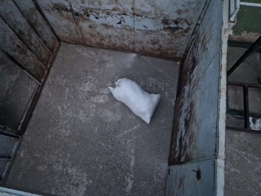 Fiestas de Sant Pere Grau