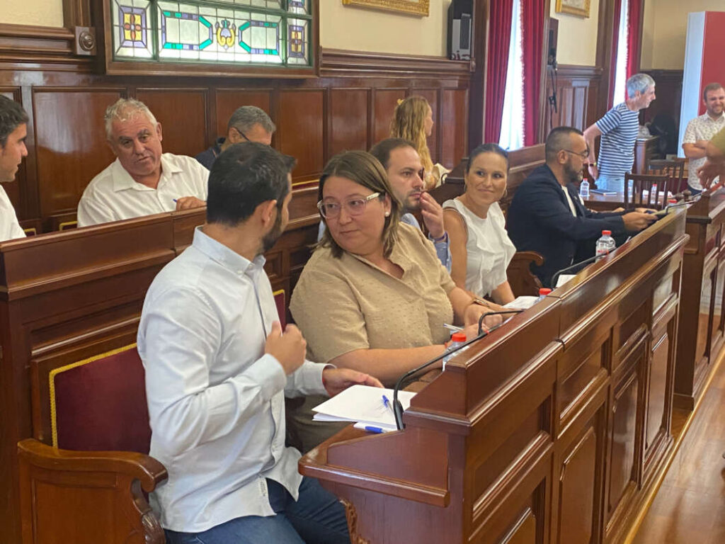 Pleno Diputación 250723