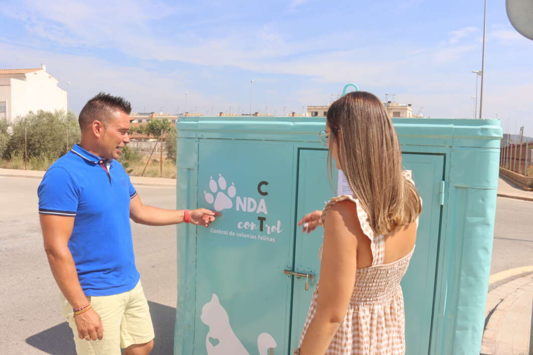 onda colonias felinas