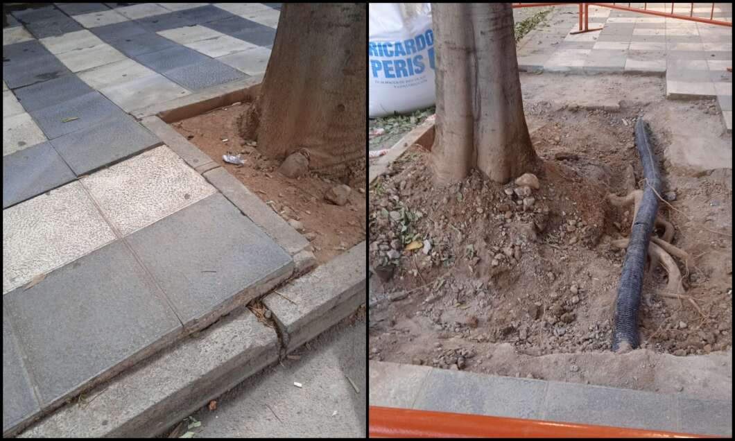 Ayuntamiento de Castellón