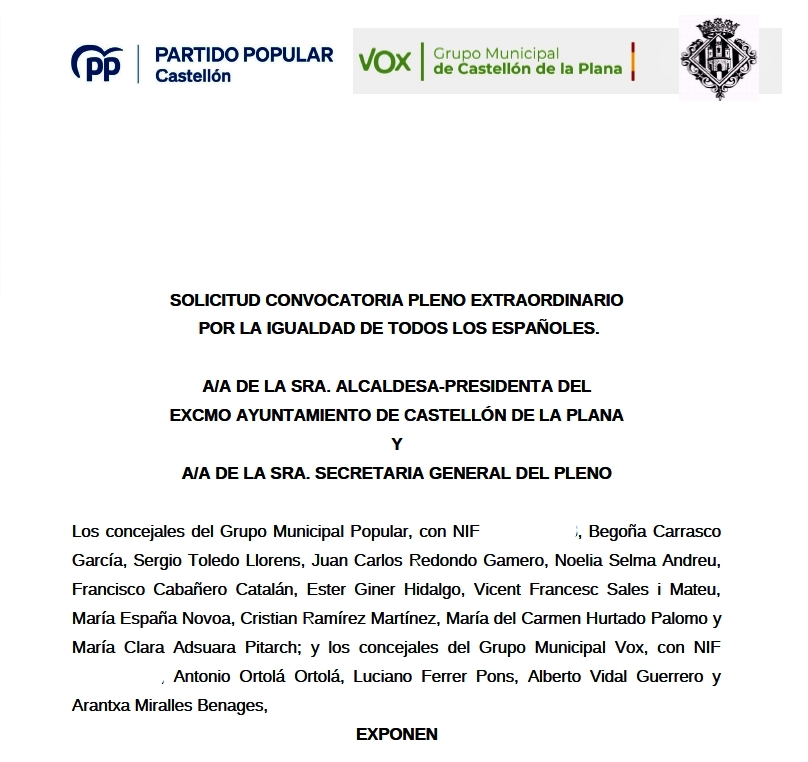 Pleno Castellón