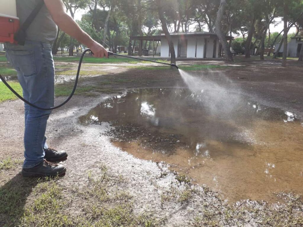 Plagas de mosquitos en el Pinar 2024
