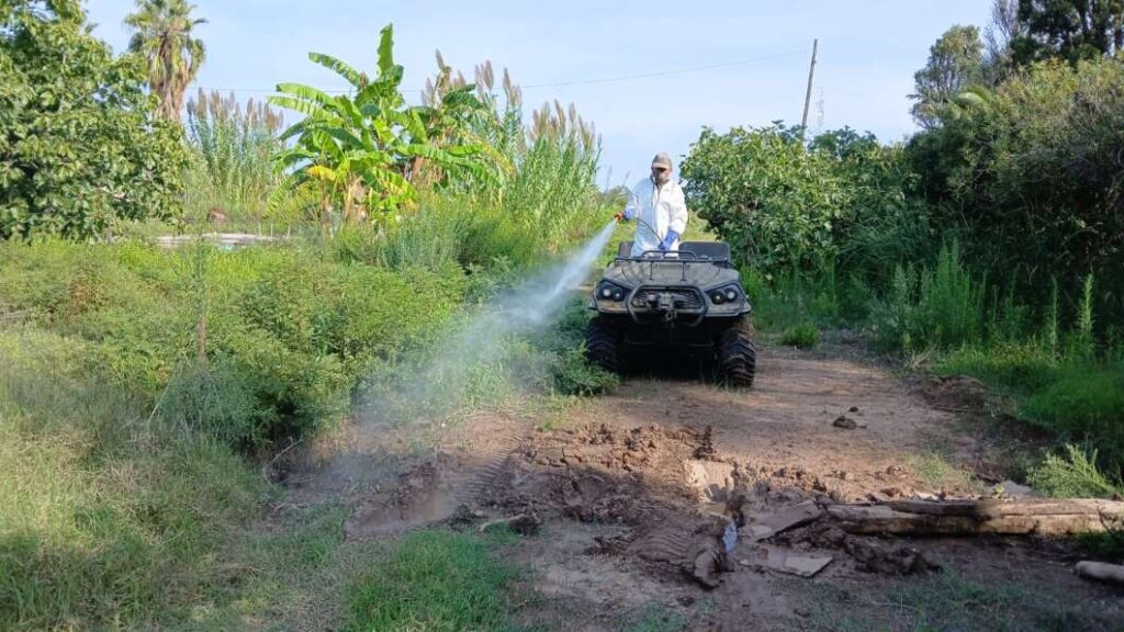 Lucha contra la plaga de mosquitos de septiembre 2024