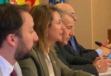 Pleno Ayuntamiento de Castellón