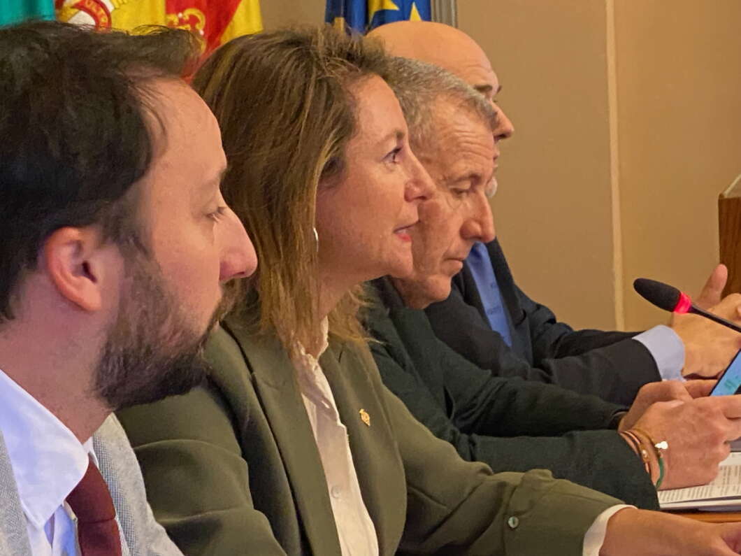 Pleno Ayuntamiento de Castellón