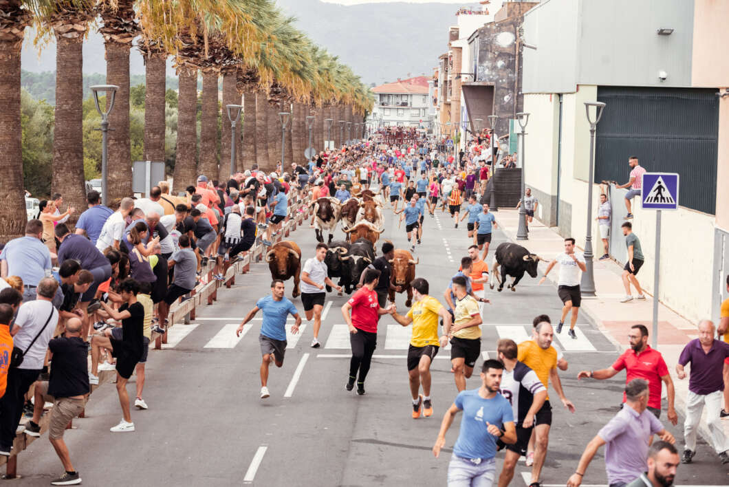 Vall d'Alba, encierro, toros, fiestas