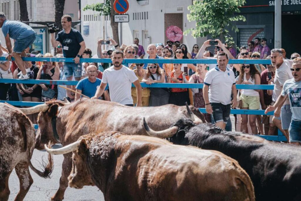 El Grao arranca con fuerza sus fiestas de Sant Pere con un encierro multitudinario