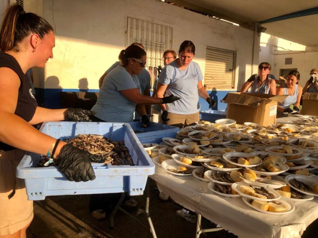 torrá de la sardina fiestas de sanr Pere del Grau Castelló 300625