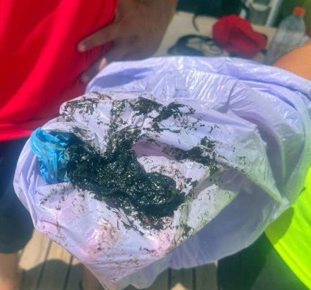 Playa del Forti Vinaros hidrocarburos