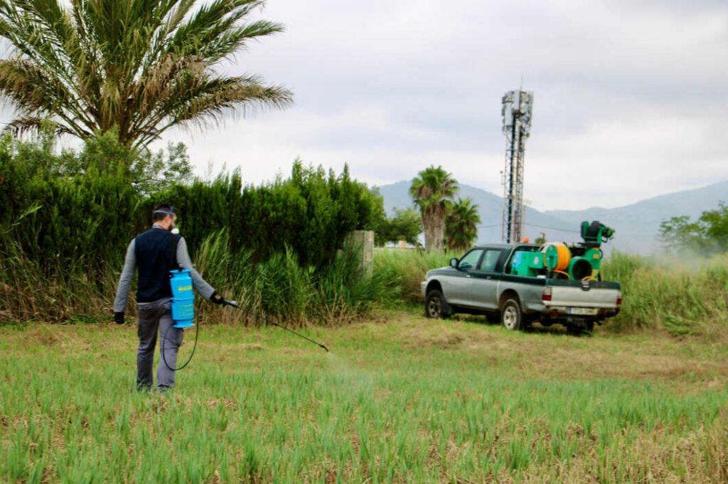Castellón refuerza el plan anti-mosquitos con actuaciones en el Grao y la Marjalería