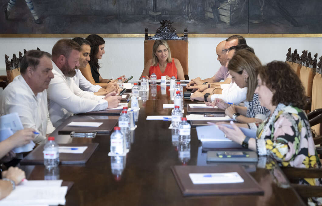 junta de gobierno diputacion