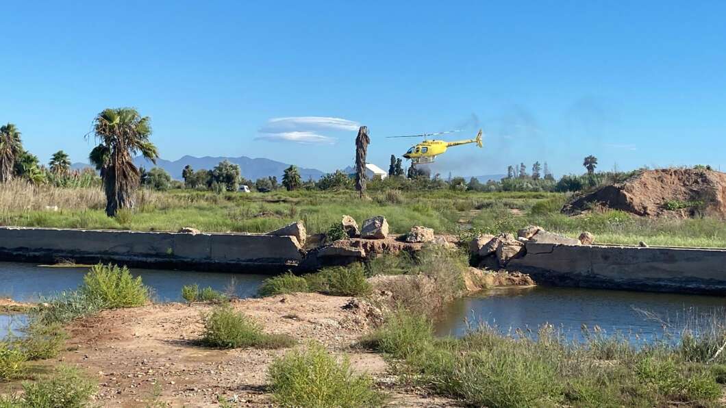 Burriana reforça la lluita contra els mosquits amb tractaments aeris per segon any consecutiu