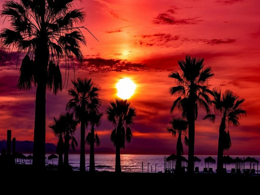 noches tropicales verano