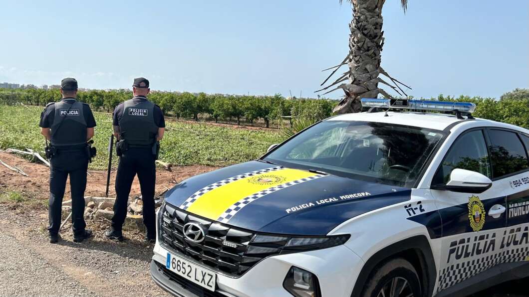 Detenido por robar hortalizas en un huerto de Moncofa gracias a la rápida actuación de la Policía Local
