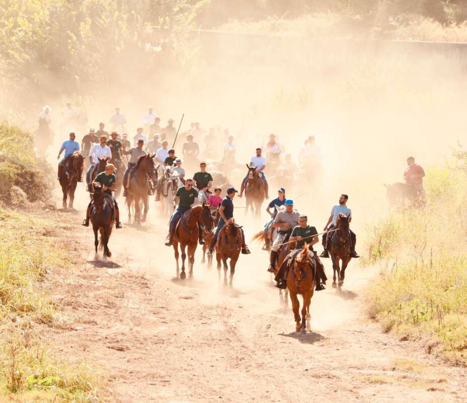 Correbou camperol en les festes de Burriana