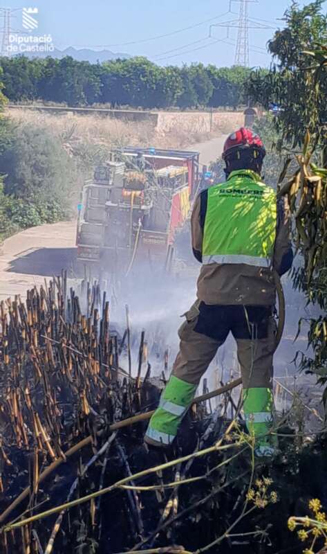 Bomberos apagan un incendio en una zona de vegetación en Vila-real
