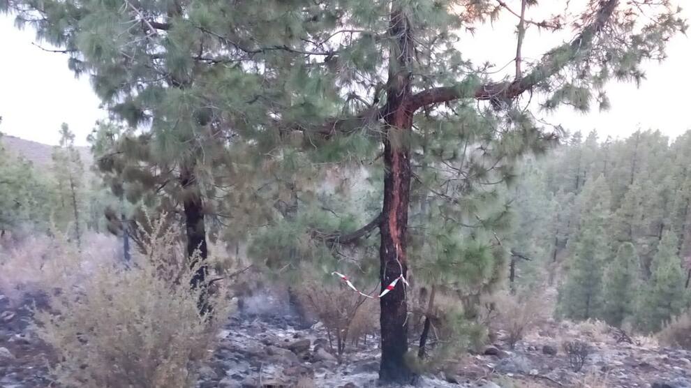 incendio Barracas Rayos