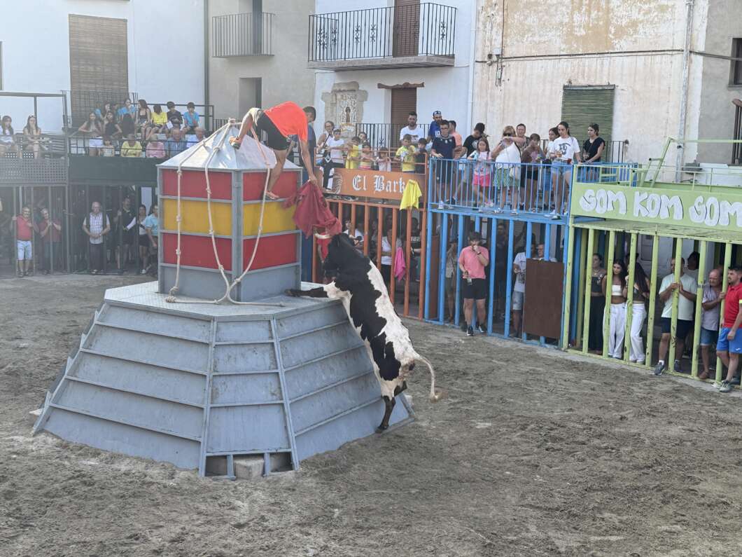 les useres toros 2025