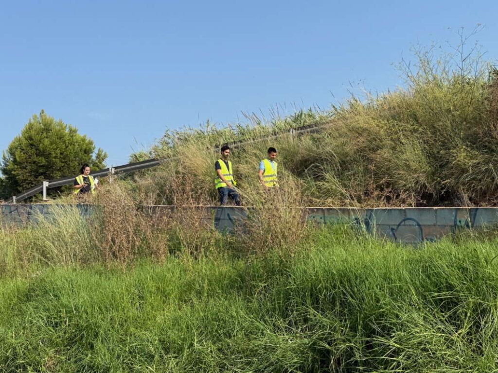Limpieza cauce Río Seco CHJ castellón 120825