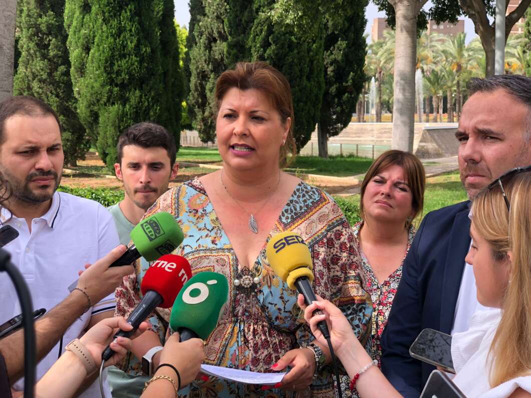 Retards i expropiacions frenen el nou Hospital de Castelló i el PSPV acusa al PP d’incomplir promeses