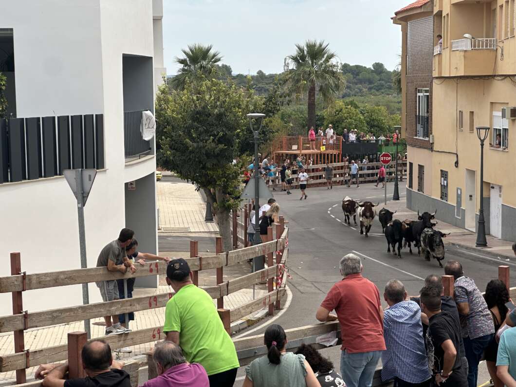 Vall d'Alba celebra a San Juan Bautista entre tradición, música y festejos taurinos