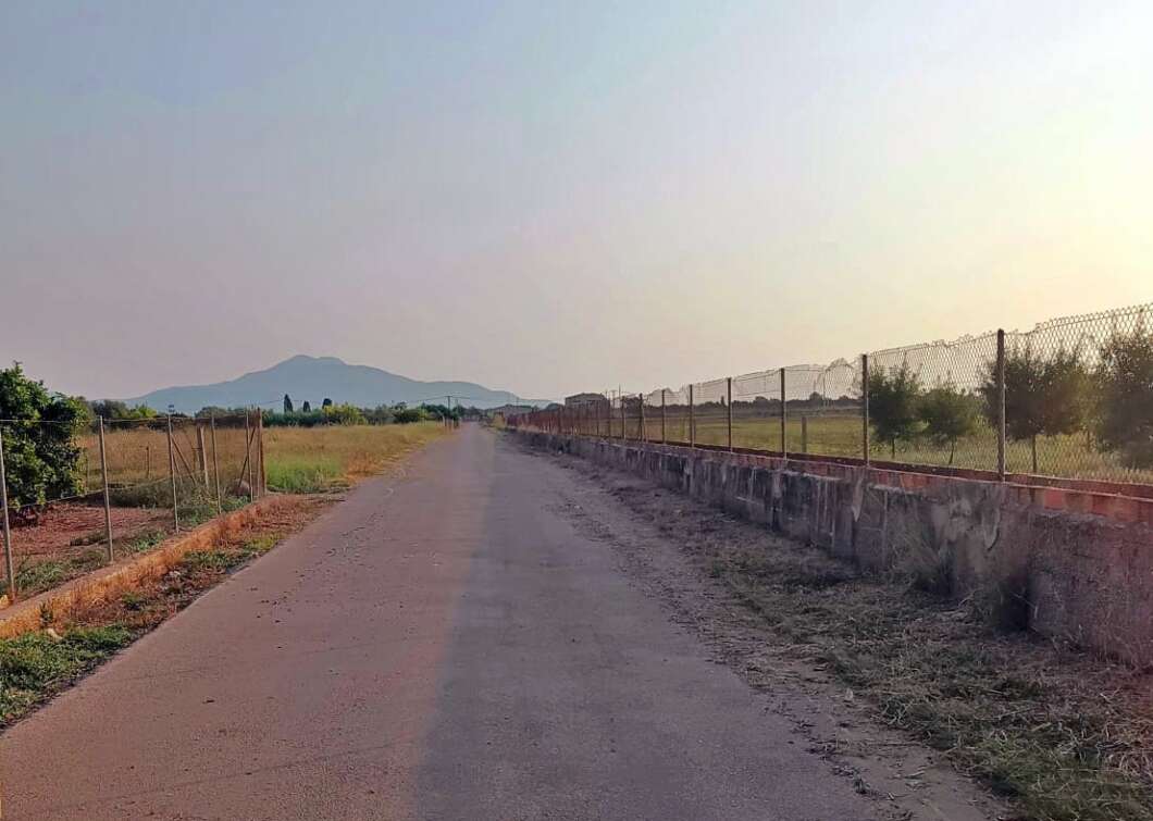 Vinaròs reanuda el desbroce de los caminos rurales