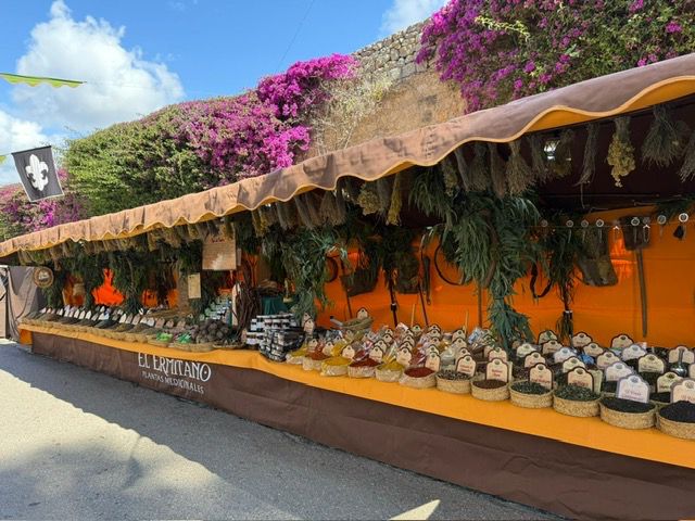 40 aniversario Big Twin en el Pinar del Grau de Castellón 2025