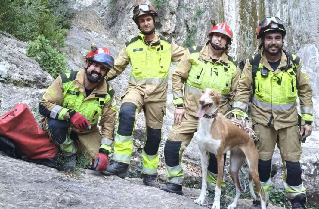 bomberos rescatan perra