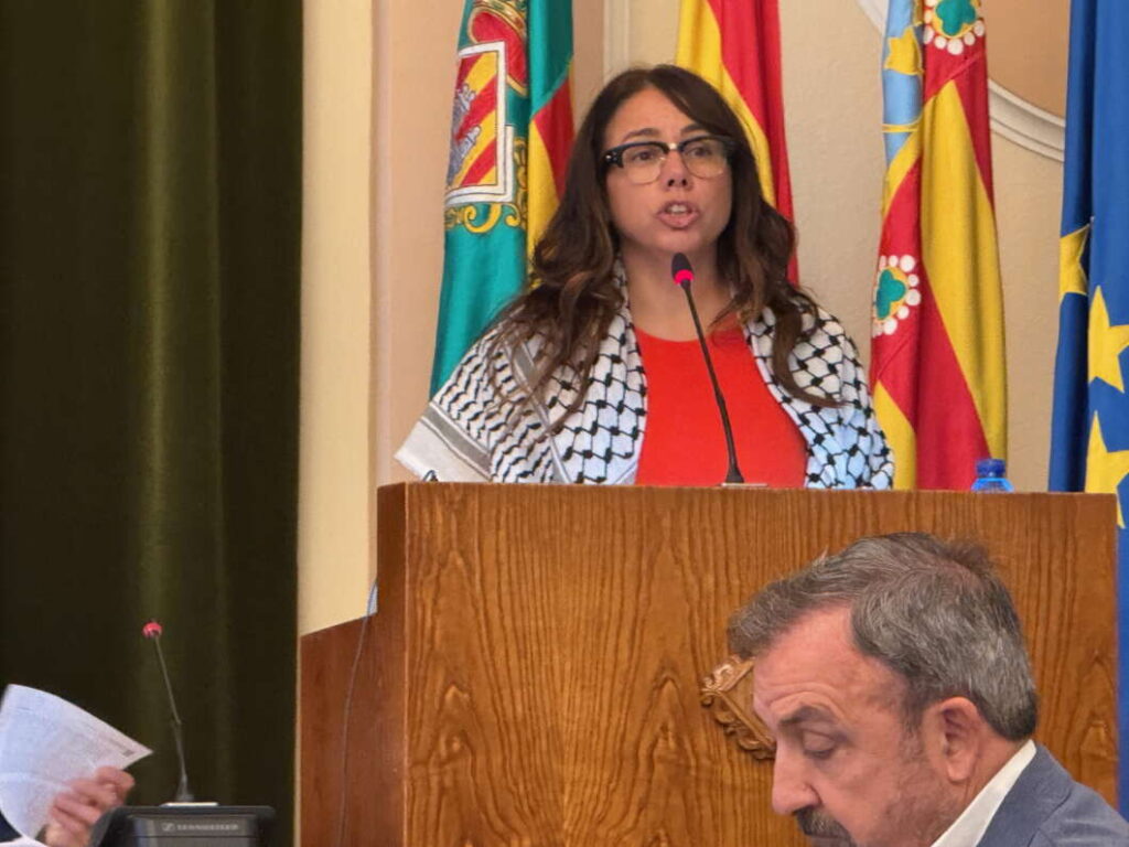 Vera Bou Pleno ordinario de Castellón 