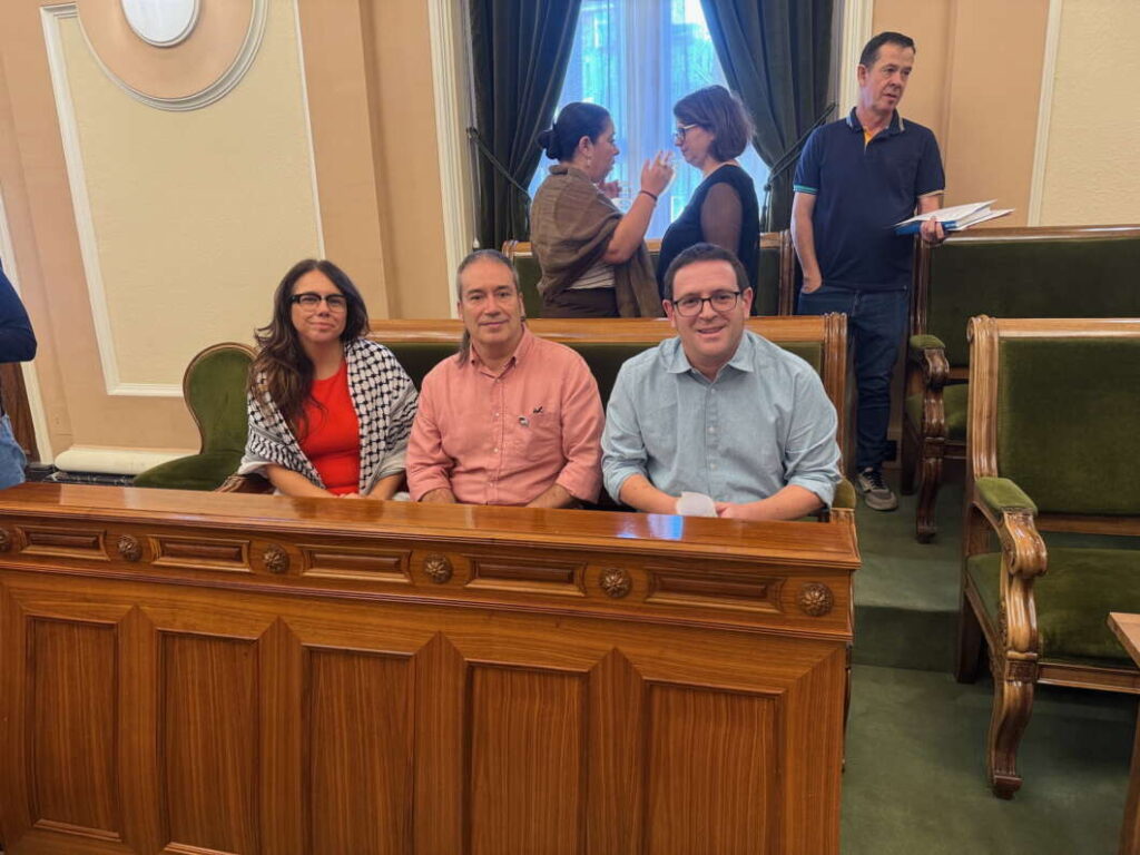 Pleno ordinario de Castellón 