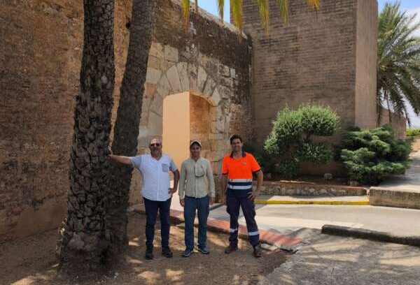 palmeres nules picudo