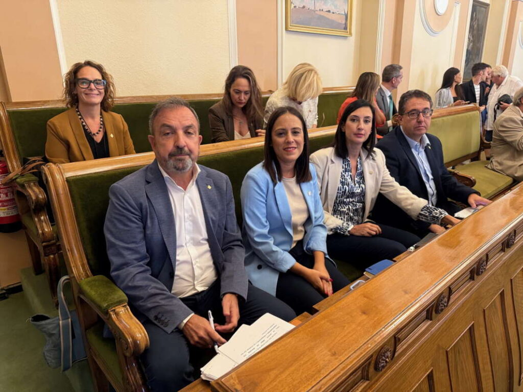 Pleno ordinario de Castellón 