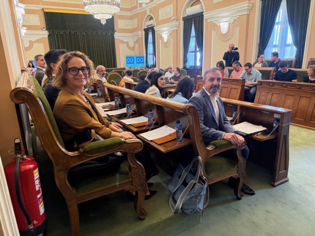 Pleno ordinario de Castellón