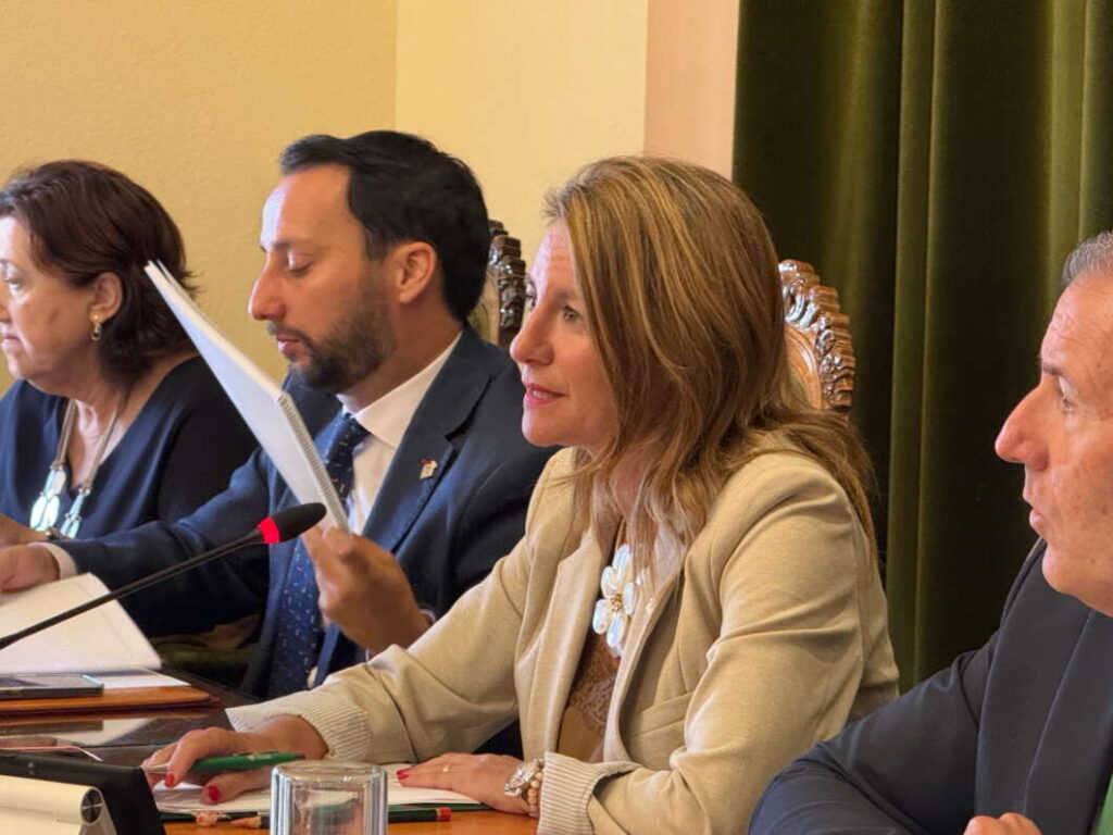 Pleno ordinario de Castellón 