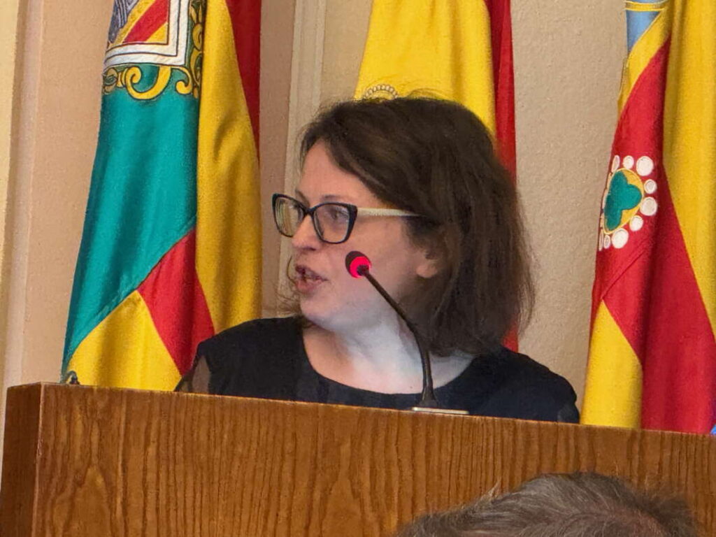 Mónica Barabás Pleno ordinario de Castellón 