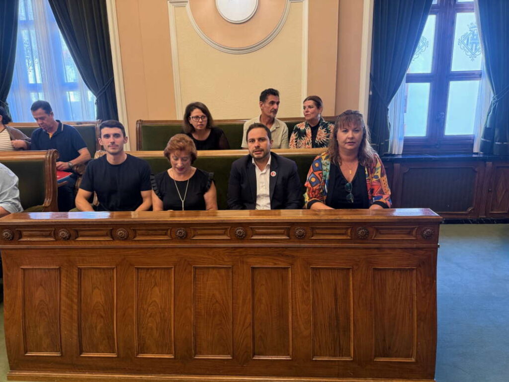 Pleno ordinario de Castellón 