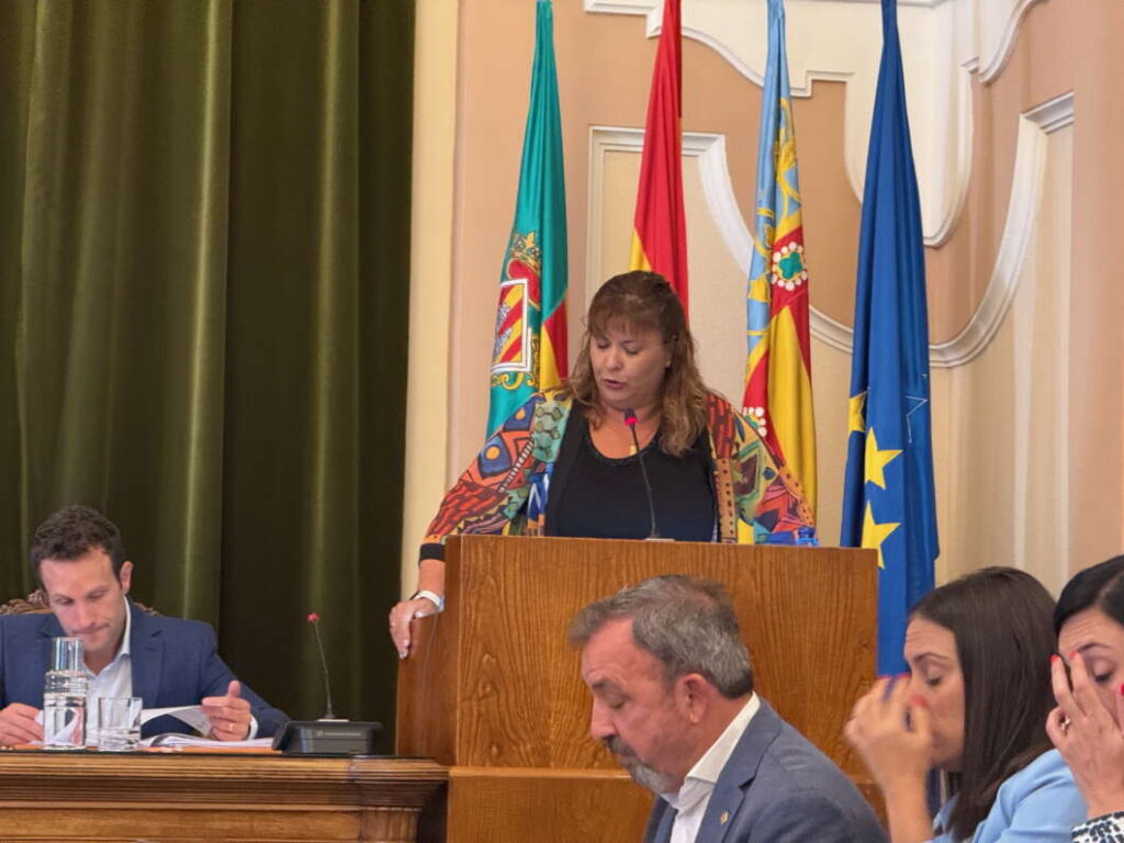 Patricia Puerta. Pleno ordinario de Castellón