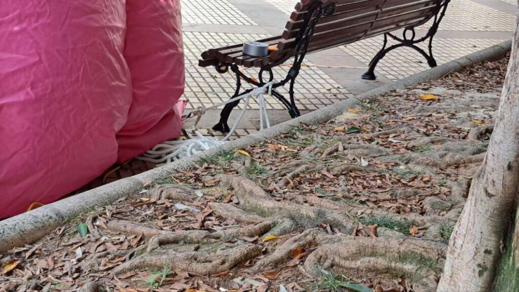 Compromís denuncia la falta de seguretat en l’Street Park 