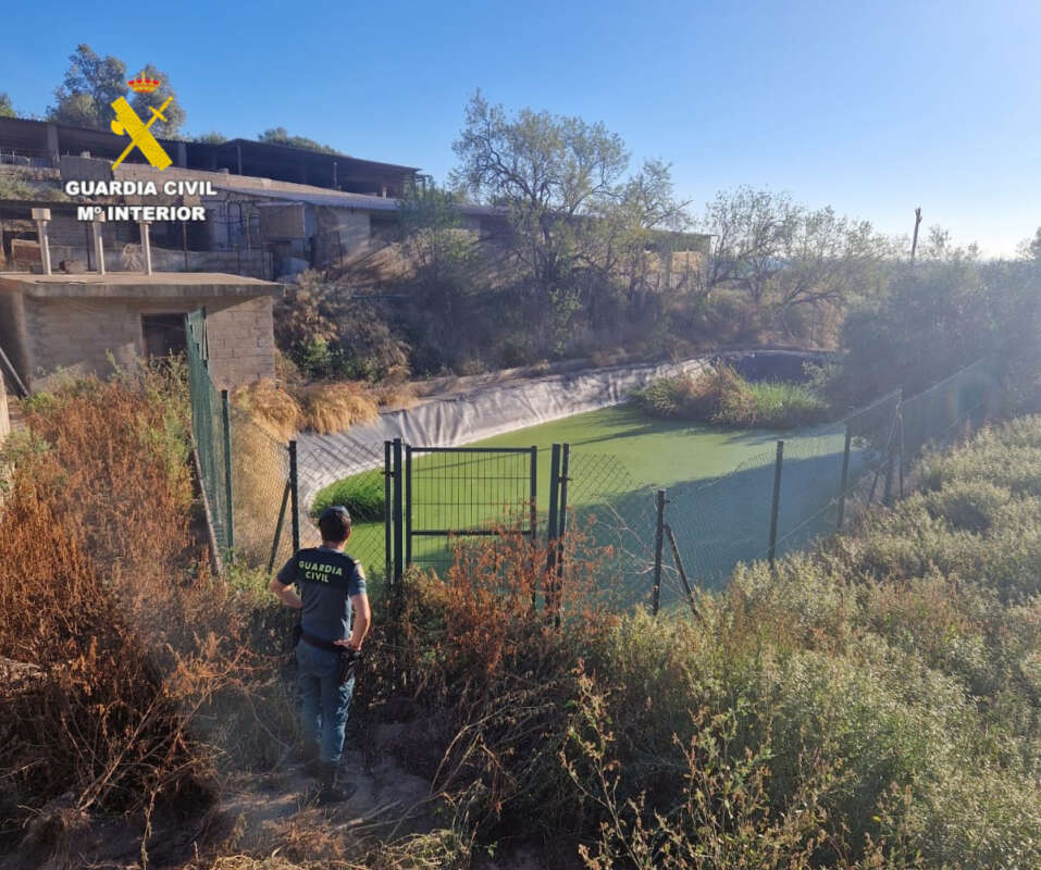 Investigan a un ganadero de La Vilavella por un grave delito ambiental con vertidos de purines