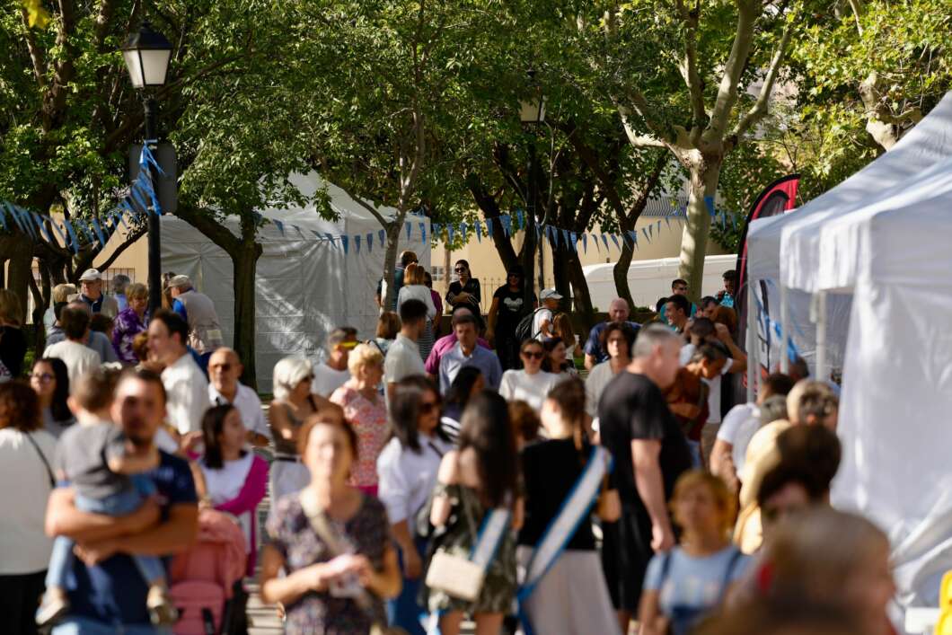 ambient Fires 2024 alcora