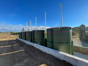 La Unió exige un servicio ágil y transparente en la retirada de animales muertos