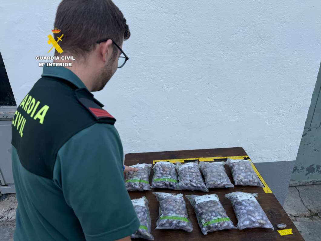 La Guardia Civil detiene a un joven con casi 10 kilos de hachís en la AP-7 a la altura de Burriana