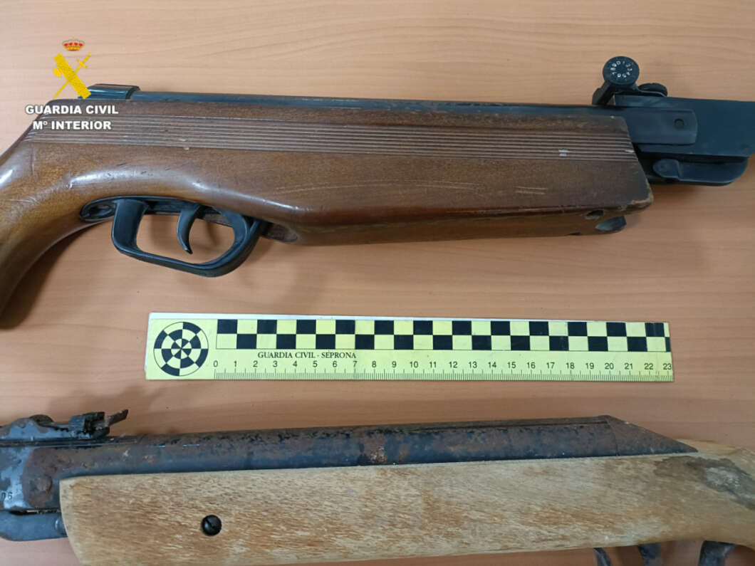 Investigan a un vecino de Geldo por matar y herir a varios gatos con una carabina de aire comprimido