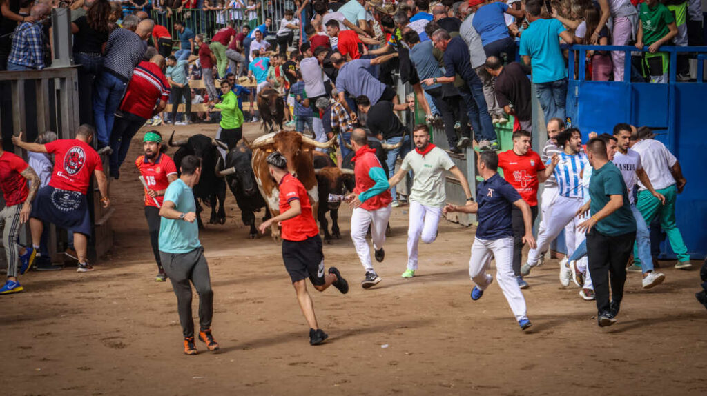 Miles de aficionados participan en el primer encierro de la Fira 2025 en Onda
