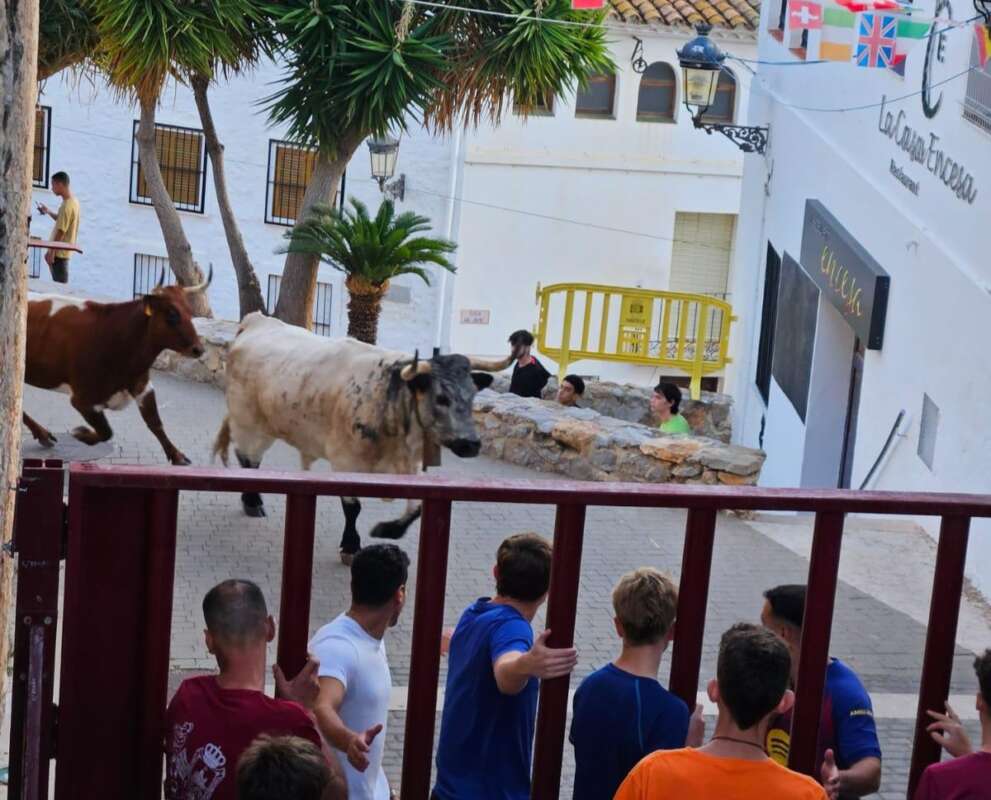 oropesa, actos, taurinos, fiestas patronales,